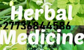 Anaconda Penis Enlargement Herbal Medicine Call +27736844586