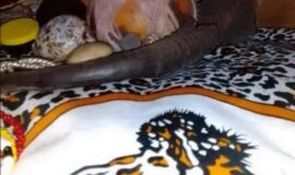 Fast-acting love spell 《+27735222291 》Johannesburg, Alberton, Bedfordview, Midrand, Benoni, Boksburg, Brakpan, Edenvale, Kempton Park, Springs, Katlehong, Tembisa, Germiston, Sandton, Southgate, Soweto,